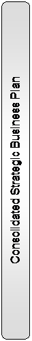 Abgerundetes Rechteck: Consolidated Strategic Business Plan